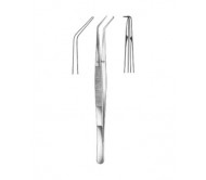 Dental Tweezers